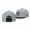 Houston Astros Team Gray Black Snapback Hat