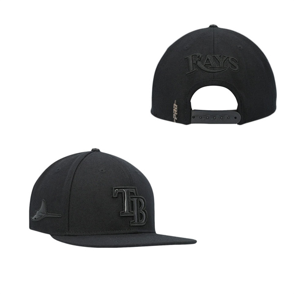 Tampa Bay Rays Pro Standard Black Triple Black Wool Snapback Hat