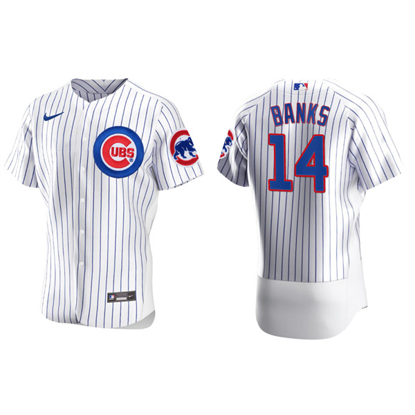 Men's Chicago Cubs Ernie Banks White Authentic Home Jersey