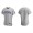 Men's Chicago Cubs Gray Authentic Road Jersey
