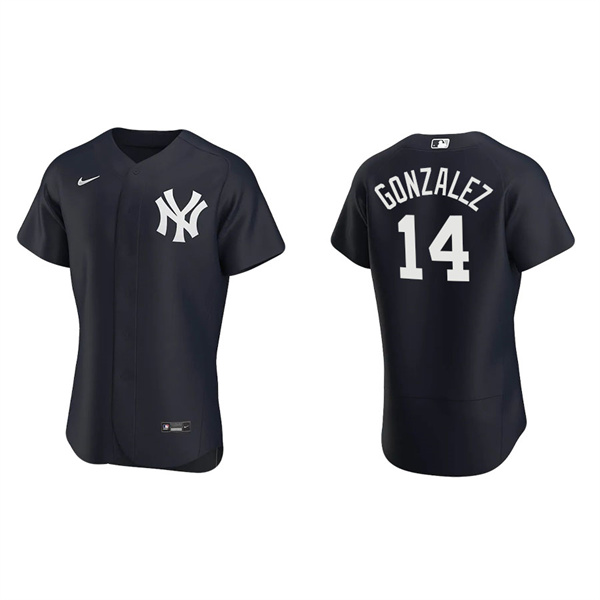 Men's New York Yankees Marwin Gonzalez Navy Authentic Alternate Jersey