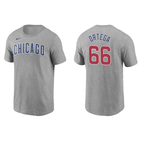 Men's Chicago Cubs Rafael Ortega Gray Name & Number Nike T-Shirt
