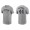 Men's Houston Astros Yordan Alvarez Gray Name & Number Nike T-Shirt